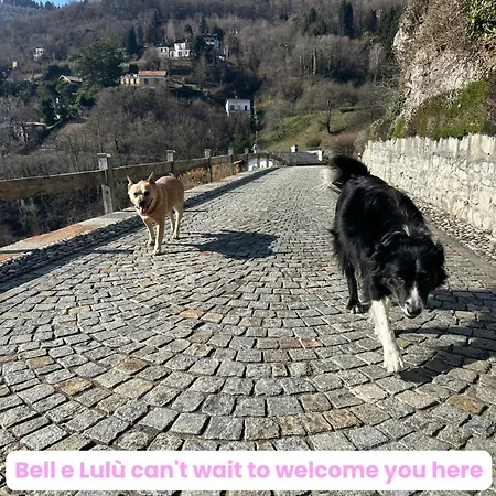 Bellagio View Rosabella With Swimming-pool Civenna