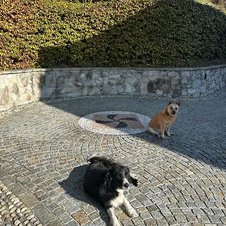 Bellagio View Rosabella With Swimming-pool