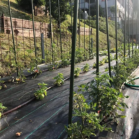 Bellagio View Rosabella With Swimming-pool דירה