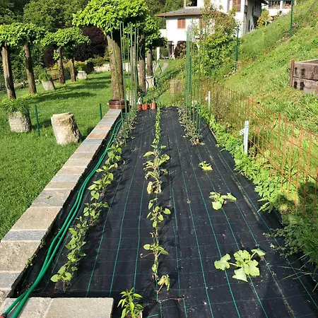 Bellagio View Rosabella With Swimming-pool * Civenna