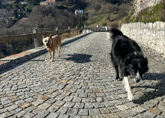 Bellagio View Rosabella With Swimming-pool 奇文纳