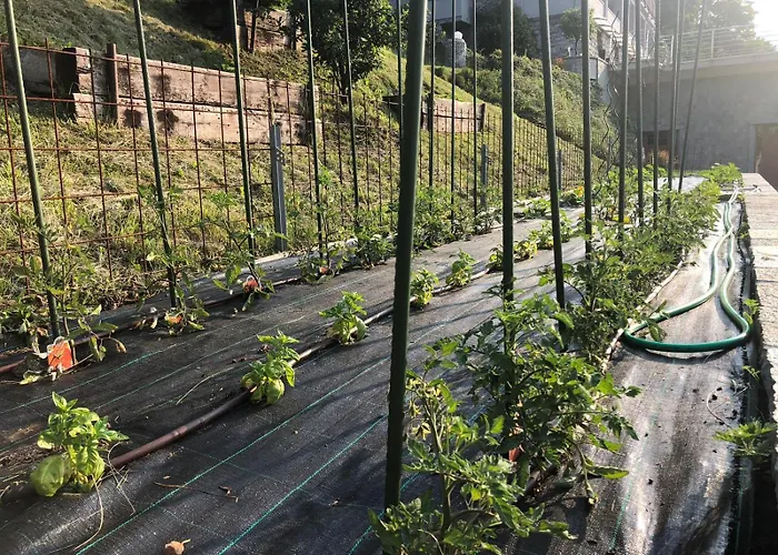 Bellagio View Rosabella With Swimming-pool 公寓