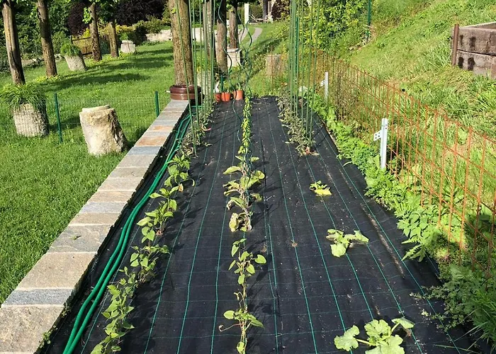 Bellagio View Rosabella With Swimming-pool * 奇文纳